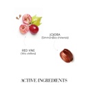 Medavita Curladdict Permanent Modulating Hair Fluid