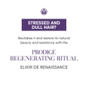 Medavita Prodige Home Divine Beauty Hair Cream