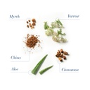 Medavita Lotion Concentrée Energizing Daily Tonic Anti-Hair loss 